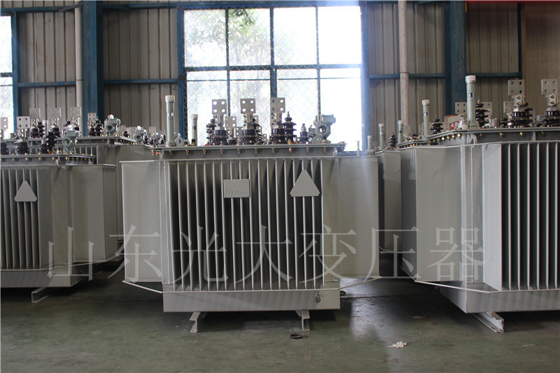 微山S20-500KVA/10KV